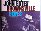 SLEEPY JOHN ESTES BROWNSVILLE BLUES VERY RARE ORIG '65 DELMARK STEREO LP NM