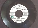 Tom and Jerry (Simon & Garfunkel) Surrender, Please Surrender PROMO 45