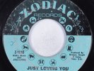 Northern/Sweet Soul 45 RUBY ANDREWS Just Loving You ZODIAC HEAR