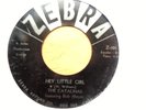 Original 1950s Doo Wop 45 Record  - The Catalinas - Zebra Z-101
