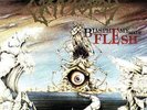 Cryptopsy - Blasphemy made Flesh  LP, Neu