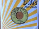 Roy Orbison - A cat called Domino   SUN