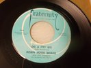 Robin Hood Brians Dis a Itty Bit  rockabilly 45 Fraternity mp3