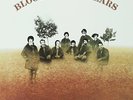 BLOOD SWEAT & TEARS-BLOOD SWEAT & TEARS (LTD) (OGV)  VINYL LP NEUF