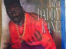Big Daddy Kane Ain't No Half Steppin 12
