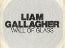 Liam Gallagher 7