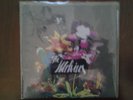 The Melvins Saved Message/Thank You 7