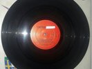 (1982)ACCUSSED/SEDATED/THE WARRIORS/CONTROL ZONE/T.D.A. ROCK-O-RAMA ISD REBELLES