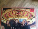 The Damned LP Anything UK MCA 1st press & Signed by whole band LOVELY VINYL ++++
