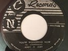 ANDY & JOEY - YOU'RE WONDERING NOW - C AND N ( SKA 7 )