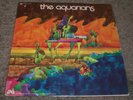 Jungle Grass The Aquarians RARE 1969 Latin Jazz UNI 73053 FAST SHIPPING
