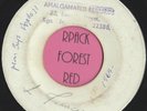 MOON BOYS  -  Apollo 11  -  JA Blank -  Skinhead  Reggae   7