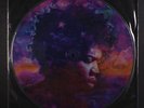 VARIOUS: In From The Storm - The Music Of Jimi Hendrix LP (pic disc)