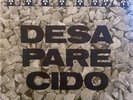 Litfiba Desaparecido IRA Vinyl LP