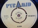 THE MAYTALS ALIDINA / HOLD ON OG UK PYRAMID RECORDS 7