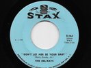 Del-Rays - Don't Let Her Be Your Baby / I Want To Do It (R&R, 45)