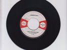 TANG TANG FESTIVAL SONG  -  DERRICK HARRIOT, JAMES RAY  -  THE CRYSTALITES