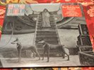 Blue Oyster Cult Extraterrestrial Live Sealed Double LP original 1982 Pressing