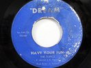 THE TOPICS-HAVE YOUR FUN ON DREAM  NORTHERN 45-VG+ PRIVATE PRESS-HEAR