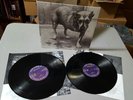 Alice in Chains by Alice in Chains Vinyl 1995 Columbia 1st pressing C2 67248