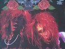 guns n'roses live? like a suicide LP