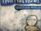 COUNTING CROWS - Somewhere Under Wonderland - Vinyl (LP)
