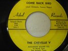 Chevelle V  Come Back Bird   Askel 45 Texas garage