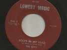 GARAGE PUNK- the BOYS- ROCKS IN MY HEAD - -HEAR -1967  FLORIDA LOWERY MUSIC