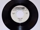 THE WHAT FOUR Gemini 4/Night Surf 1965 Reprise 0387 dj promo 45 surf garage EX
