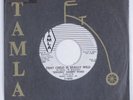 R&B Soul 45 SAMMY WARD That Child Is Really Wild TAMLA HEAR VG+ promo