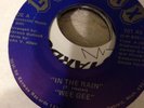 Rare Detroit 2 Step 80's Soul In The Rain B/w Problems On Earwax Wee Gee Mint