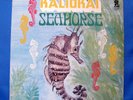 KALIOKAI SEAHORSE HAWAII SOUL FUNK PRIVATE ULU RECORDS 1979 LP