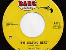 the K-OTICS i'm leaving here 45 killer GARAGE the kinks MOD PSYCH fuzz HEAR ?