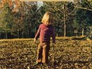 The Allman Brothers Band-Brothers and Sisters  (US IMPORT)  VINYL NEW
