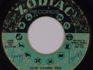 RUBY ANDREWS: Just Loving You ZODIAC 1010 Rare NORTHERN SOUL 45 Hear