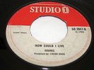 Sharks UK Studio 1 45 How could I live. Hear