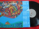 BIG COUNTRY *** No Place Like Home *** VERY SCARCE 1991 Holland LP w/ INSERT