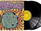 Ozric Tentacles-At The Pongmasters Ball  VINYL NEW