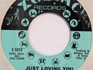 RUBY ANDREWS Just Loving You ZODIAC 45 northern soul 7”