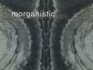 Morganistic - Fluids Amniotic 2LP / 1994 LUKE SLATER TECHNO CULT