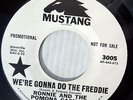 Ronnie Pomona Casuals GARAGE MOD BEAT Promo 45 WE'RE GONNA DO THE FREDDIE dm839