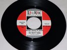 THE PRETTY THINGS / 