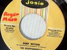 The Whippoorwills DOOWOP Josie STRONG vg 45 Deep Within / Going To A Party F2858
