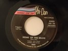 Bonnie & The Treasures 45 HOME OF THE BRAVE / OUR SONG   Phi-Dan VG++ to VG+