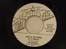 The Sharpets 45 LOST IN WORLD OF A DREAM / inst. The Staircases   VG++