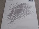 LOOP - WOLF FLOW (V.LTD BLUE VINYL) RSD DOUBLE