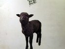 SKYHOOKS Straight In A Gay Gay World LP