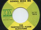 Hear- Rare Garage 45- The Thirteenth Floor Elevators - You're Gonna Miss Me - M-