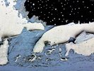 Jessica Moss - Pools Of Light Vinyl LP Constellation NEU