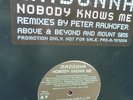 Madonna NOBODY KNOWS ME USA Promo Vinyl 12